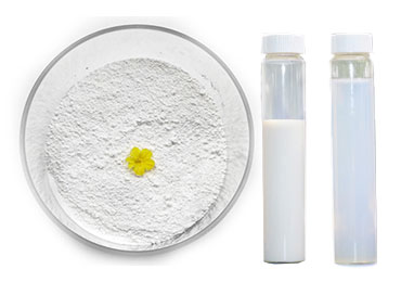 Zinc Oxide Powder10