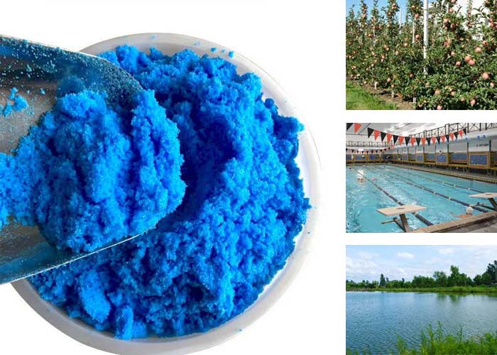 Copper Sulfate (2)