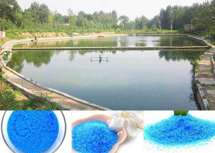 Copper Sulfate (3)