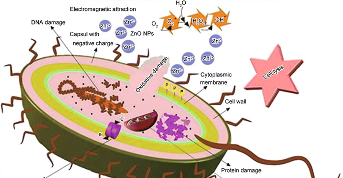 Zinc Oxide Powder Using For Antibacterial-China Yosoar