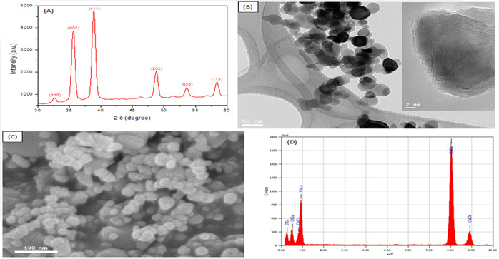 Copper II Oxide Powder CuO NPs induce cell apoptosis-China Yosoar